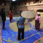 Group of people traditionally winnowing grains outdoors using woven baskets.