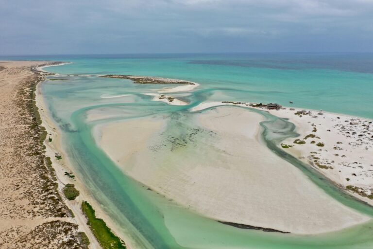 A breathtaking aerial shot of Oman's turquoise coastal lagoons and sandy shores.